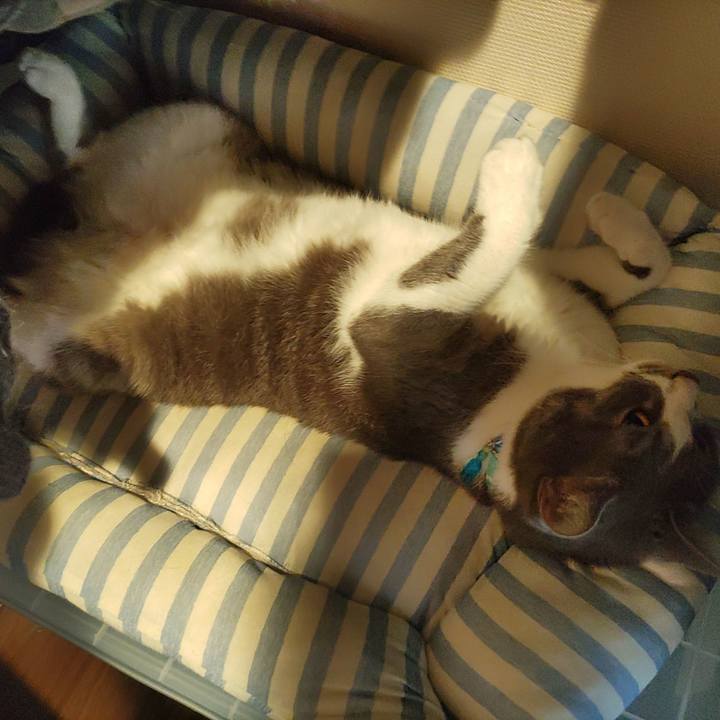 4c45ebc1 c3ef 4765 b59f 7506169ea625 1656565339520