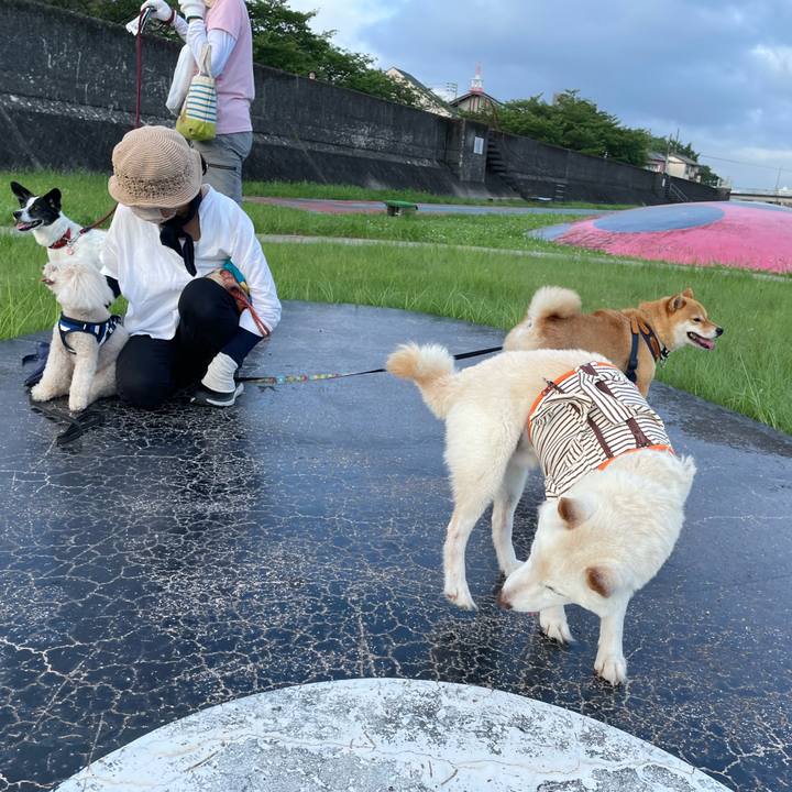 4c460428 4367 464c be26 8b085da4c6b0 1656072130406