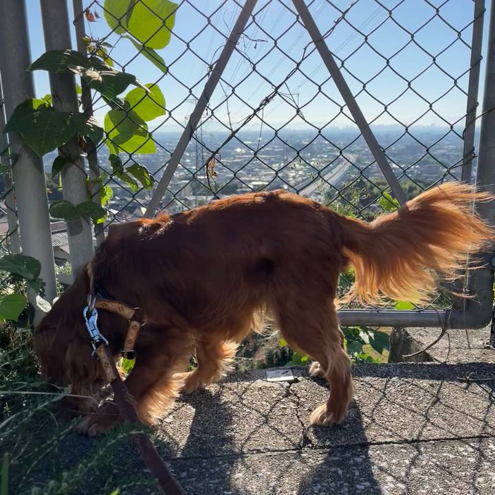 4c460552 8a06 4ef0 83a6 487323bdd69a 1665790853953