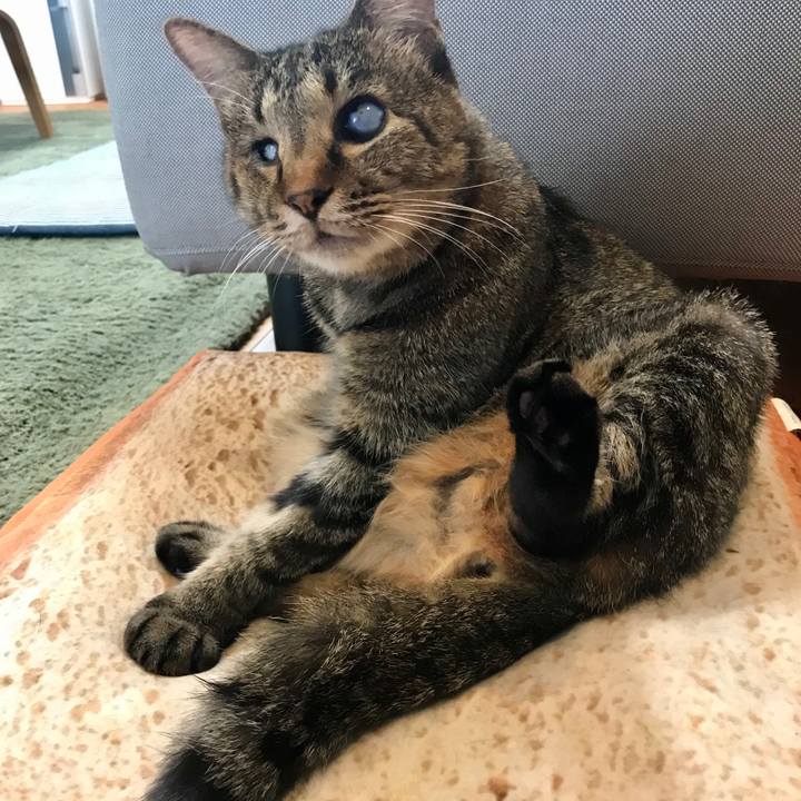 4c464fc3 d5d9 4d25 98d1 d0d261d3f92f 1598924068615