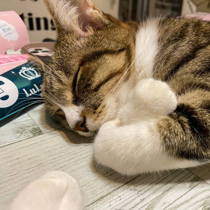 4c46561b 6202 4b4e 9dcd 39f5403c431d 1610485095550