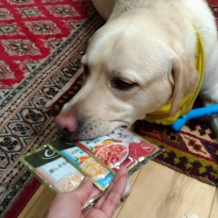 4c467dd4 ec8e 450c 969f 6f184d7255b2 1545219692621