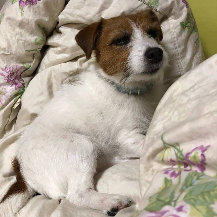 4c468357 7022 43f5 9879 96046e099bfc 1557655878799