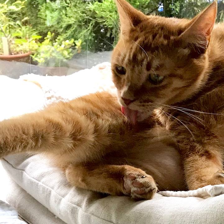 4c46ad19 39dd 4032 9b74 3c017af3f0b2 1534921657837