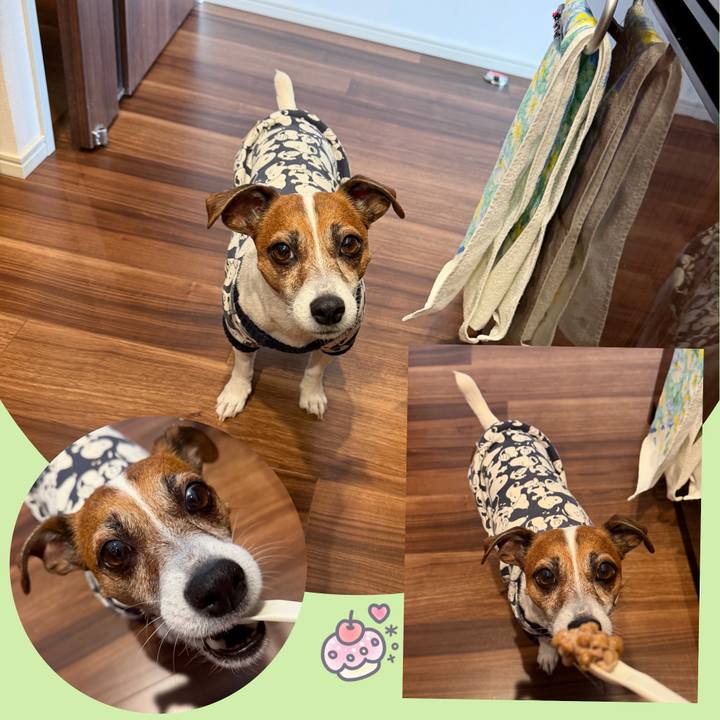 4c46c2c8 9593 43ad b21c 914b5083fde0 1770250518479