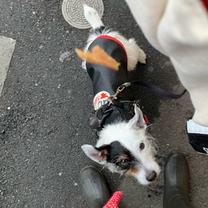 4c46cd7e 982e 49ea b311 44a6159c6ab4 1708573329667