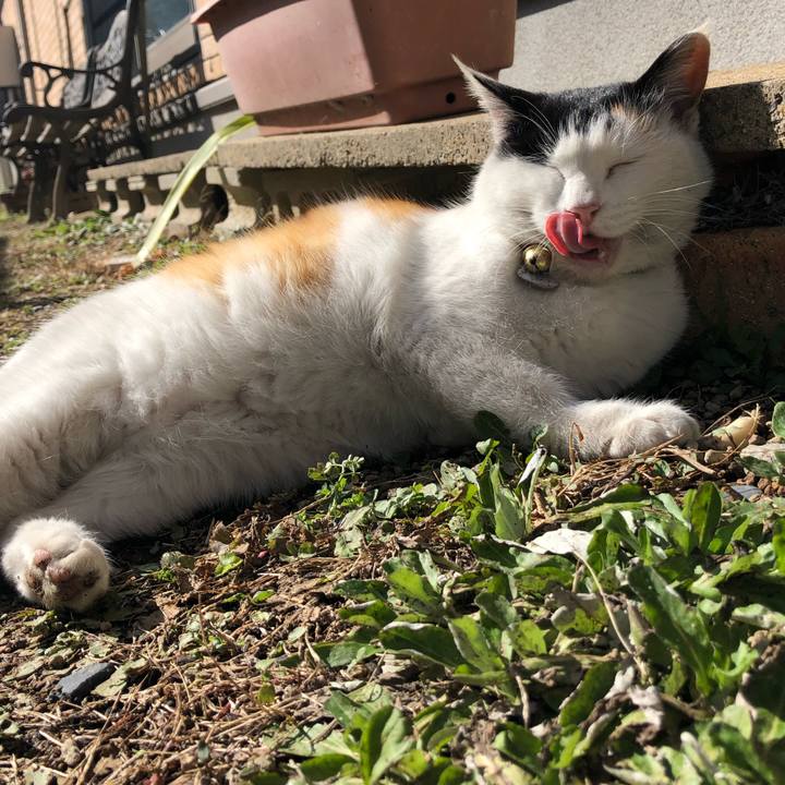 4c470a4f b22e 4b7d 9c85 dbce70392f4c 1611549180988