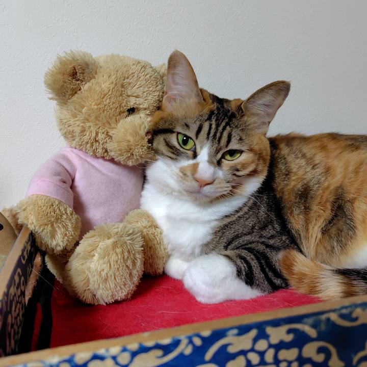 4c473fbd d057 43d7 a740 ee58b1a27f1e 1765920954983