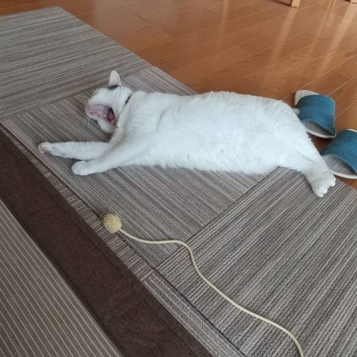 4c4746fb eddb 496d a728 a23d39b1c43c 1625287935699