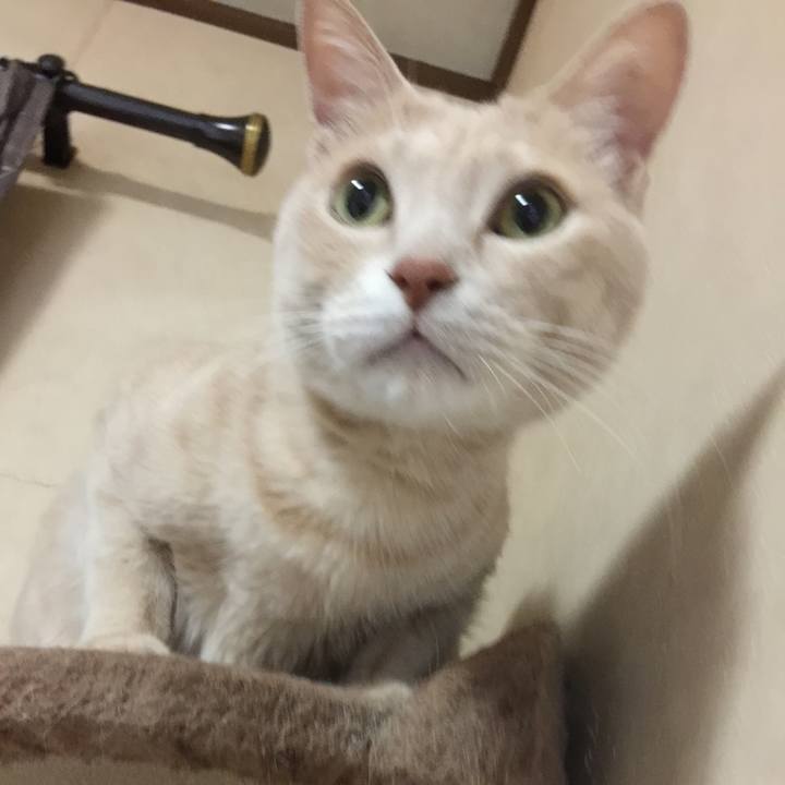 4c4787ae 5155 43a8 8537 8d2324cd21a9 1519295380926