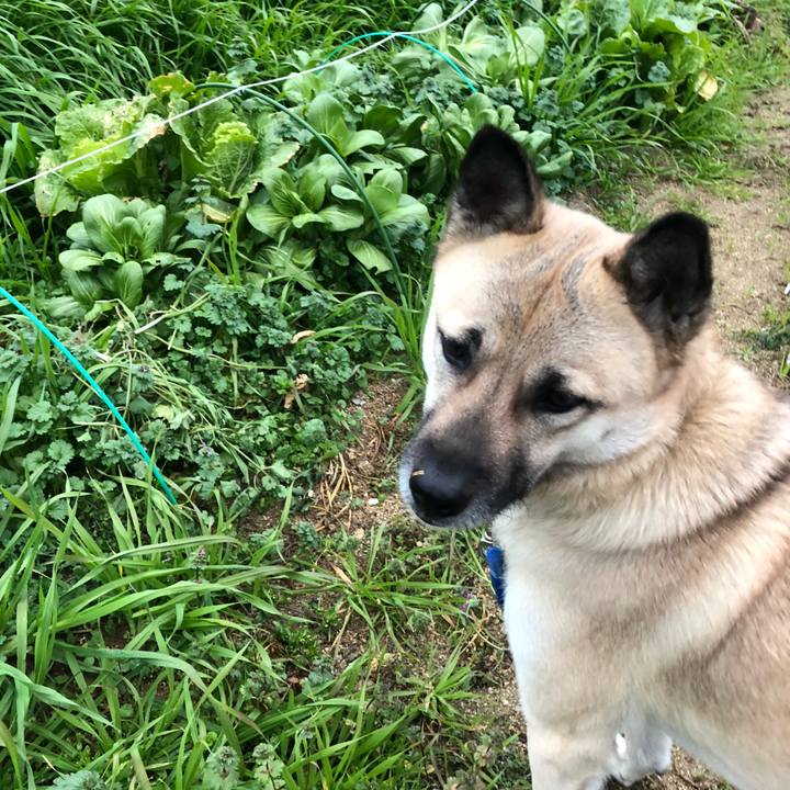 4c47a831 7891 4a63 bb81 ee2e333d330f 1547639549155