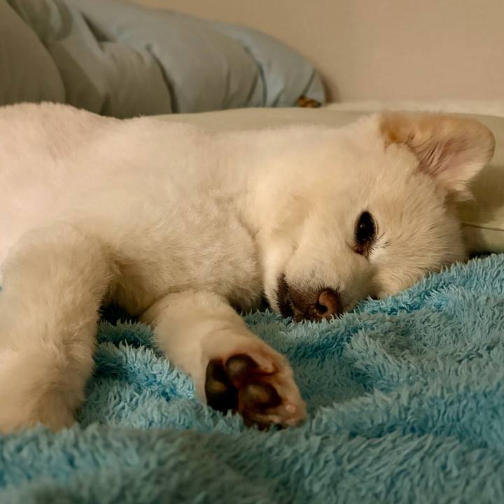 4c47abe2 e3cb 4774 8356 23dc6571140a 1772111341247