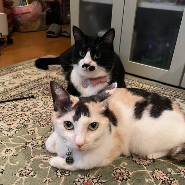 4c47b156 a094 4ae0 8b92 6230325052ab 1759313361957