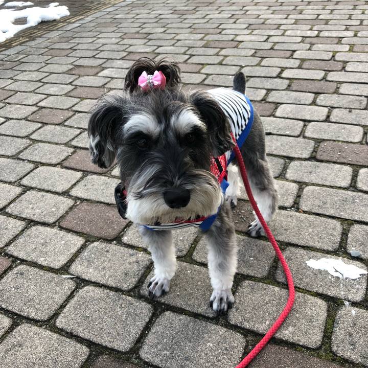 4c47b46c 7ee2 404b b2e3 636a74aa1929 1516413222616