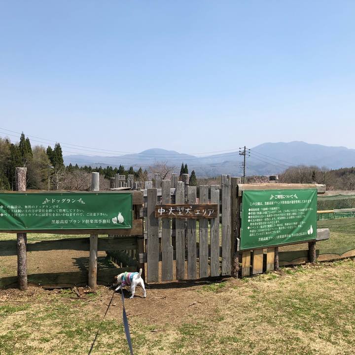 4c480a62 a053 4949 a1c9 74cfd86b82dc 1524192149198