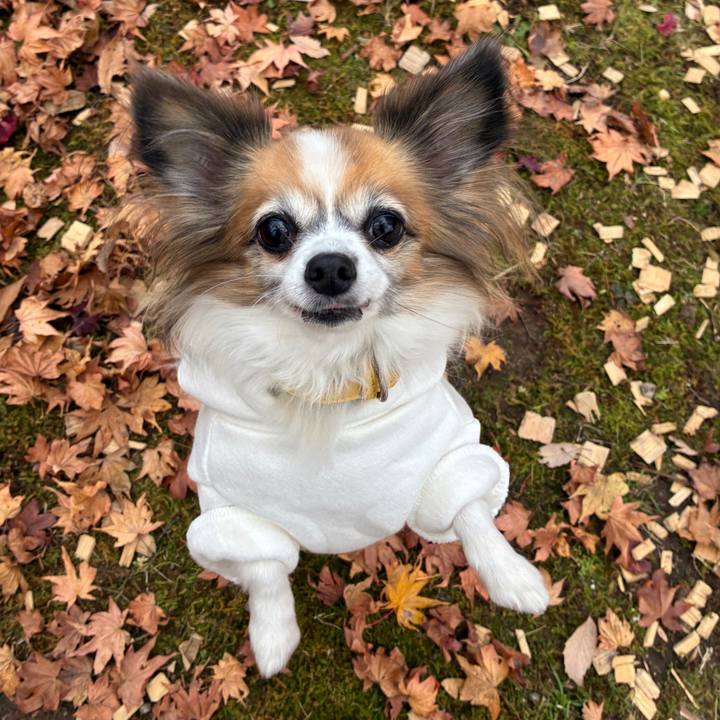 4c481dcb 51e8 4184 b91b 90a9c26456b7 1764075631119