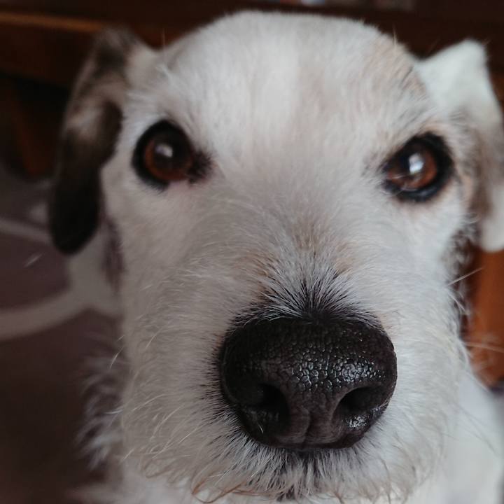 4c483d74 3d22 4d1f 9dd9 eaf7768f809c 1524438508105