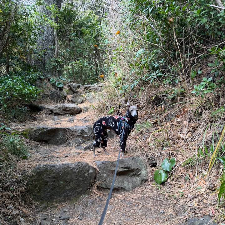 4c486097 57e2 4bc2 83d9 c5d04fe90e94 1769677481161