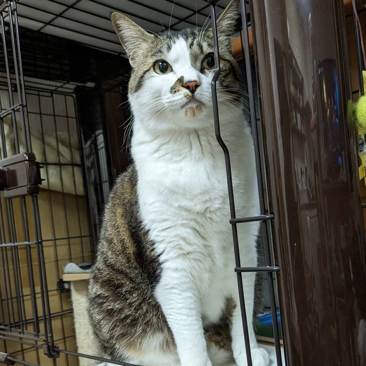 4c488660 0070 4e3c 8936 867c483209fa 1709557756730