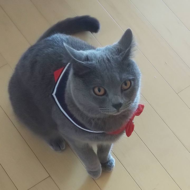 4c48cf29 eb90 4028 887f d207957cd2c0 1543208842785