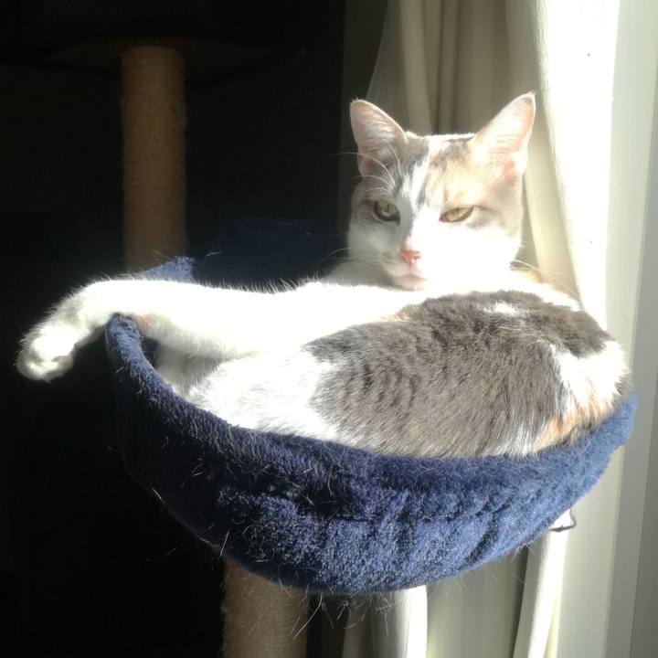 4c48e655 cd47 4780 818c 9bc651f2c1e1 1551139686087