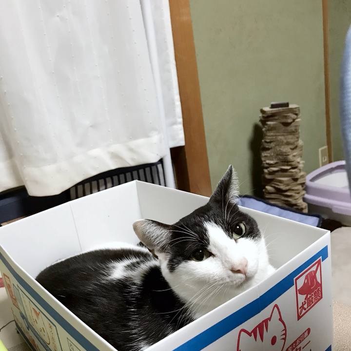 4c48f5b7 d729 4142 87a0 3e85b558a2b5 1536155815172