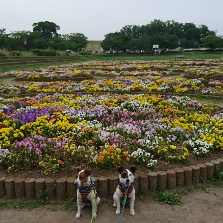 4c49264e 8df7 4680 8ff7 cf8a630d061b 1559475803194