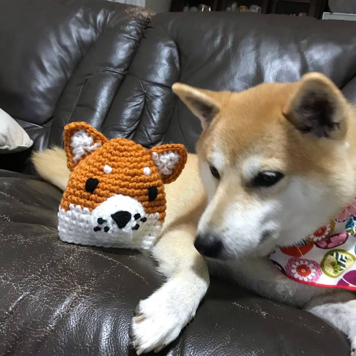 4c4948da ef5c 4498 a7b3 3b2793bd3746 1540290542597