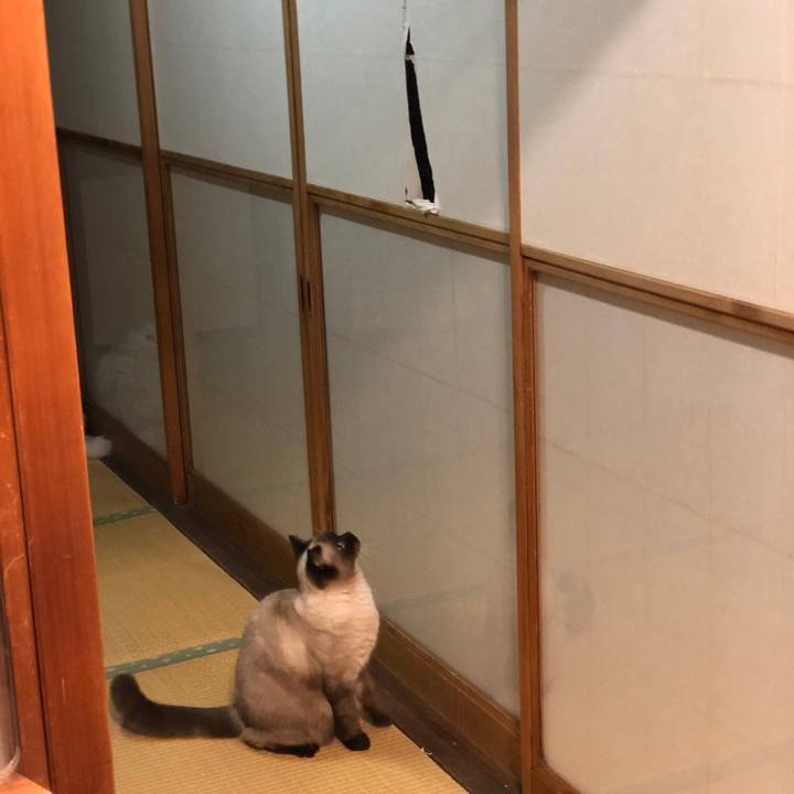 4c4953b1 9947 4d48 a6e4 be56a8bbf96e 1607162836941