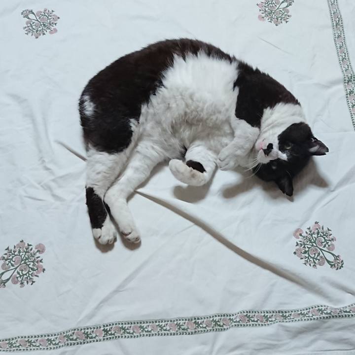 4c4954c4 b825 4dfc bf3c 46efdb6df934 1655711137461