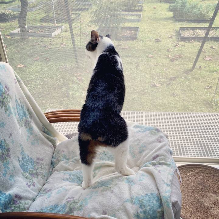 4c496d3b b4fe 471a 8fae 9df1a55526d8 1603892709554