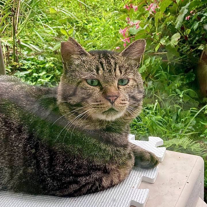 4c49bf63 bd4f 4898 b564 e8575927a684 1630989229547