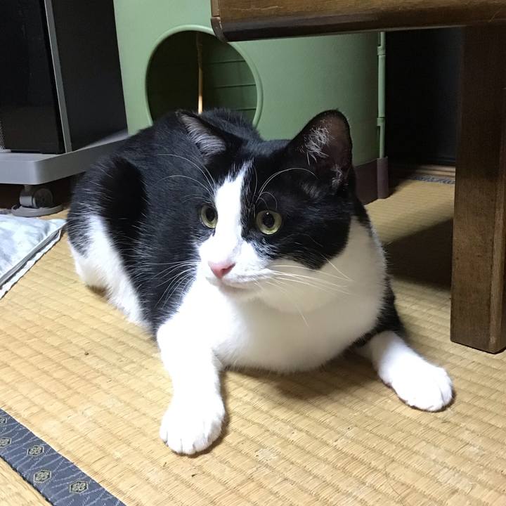 4c49d386 4aad 429a 9f16 ba54ebfcb767 1688474935472