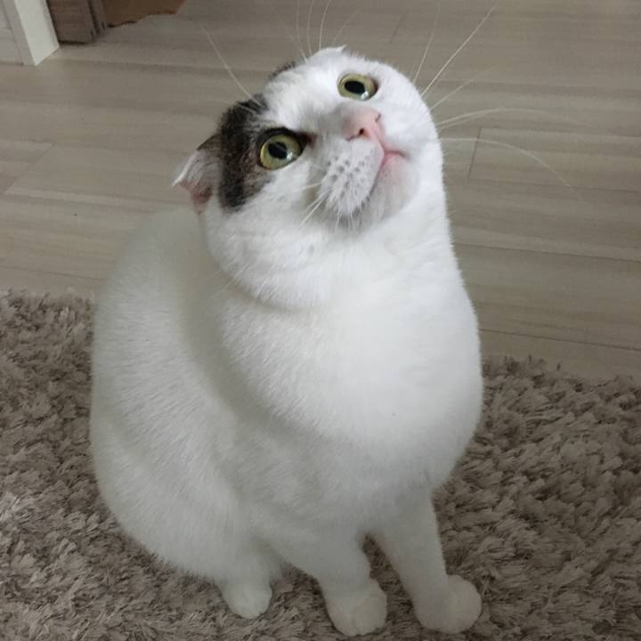 4c49f2a7 eff7 431f bc17 6dc6861e87ca 1515384944815