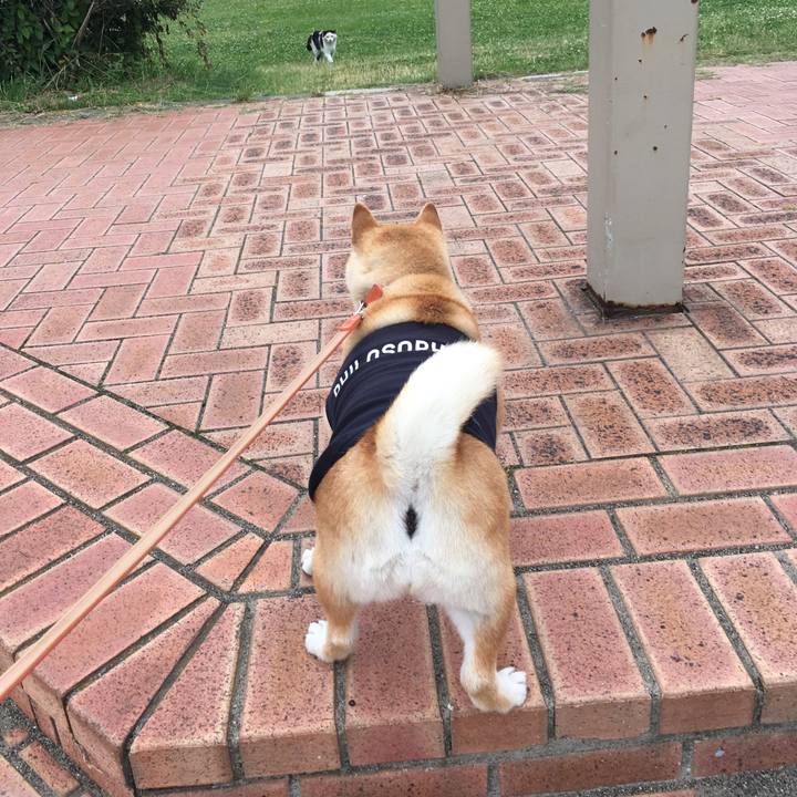 4c49f816 3e55 4198 9c3b ca0a918c6b93 1613298439171