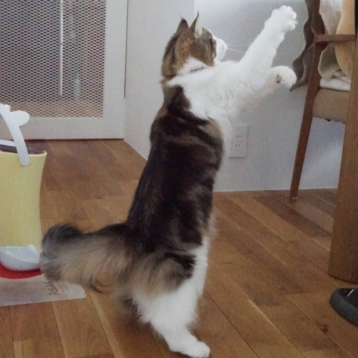 4c4a1a06 c2c3 4cf9 85f2 730ef32172ac 1577923497853