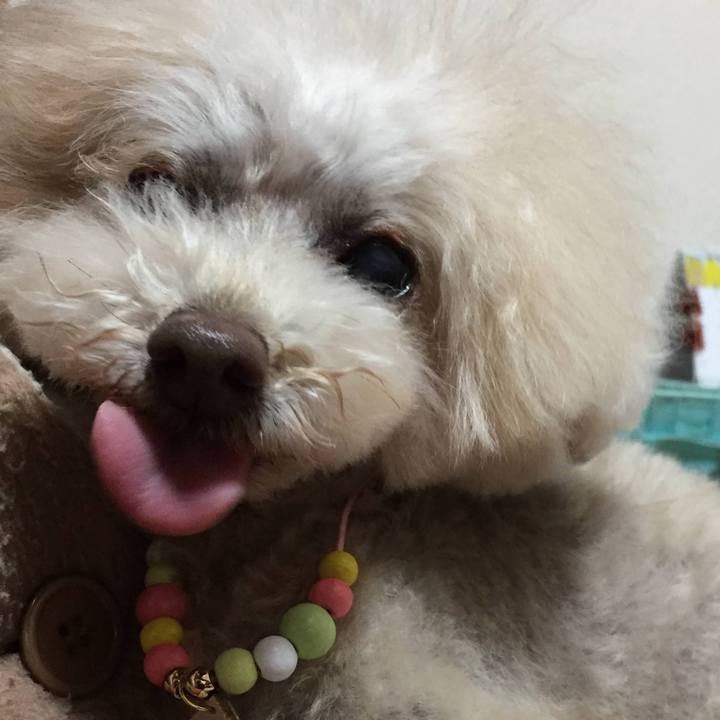 4c4aa47e 932d 438a 80e1 d55fdc2ae7d6 1764579081865