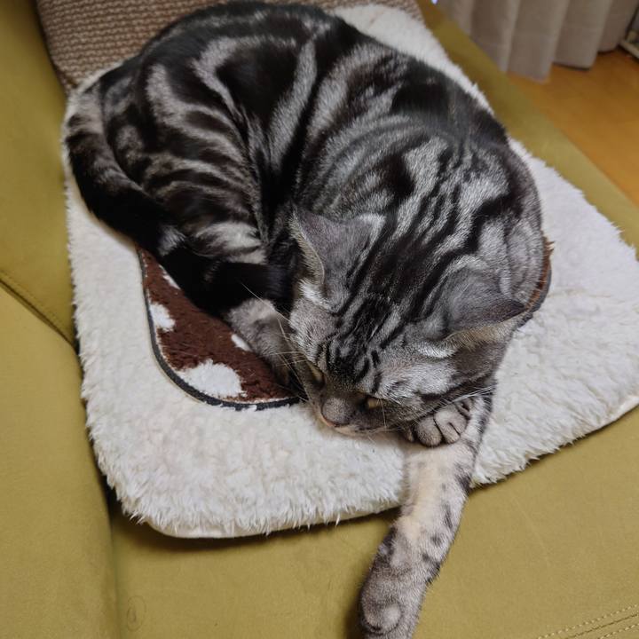 4c4b1d7b 65f4 48b8 9695 8640f21142b3 1607899025463