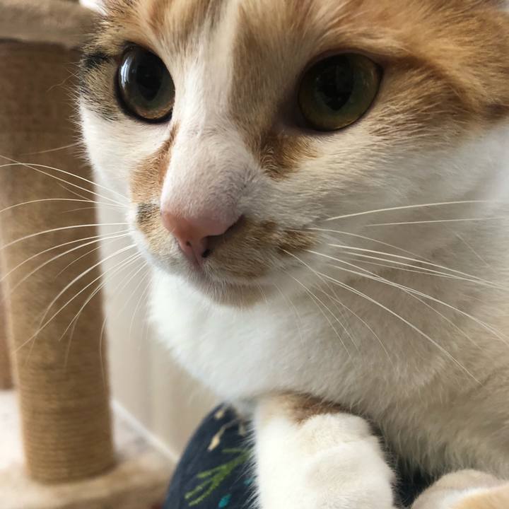 4c4b23a5 fe5c 46eb a0bd 5d2e46da088d 1591098710236