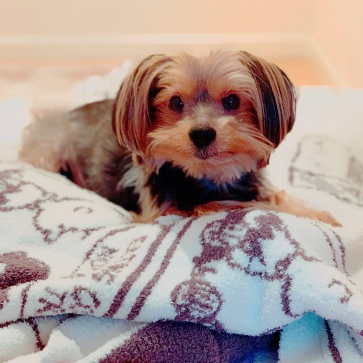 4c4b23fe 080a 410e 8676 b026f5c1b337 1583634451291