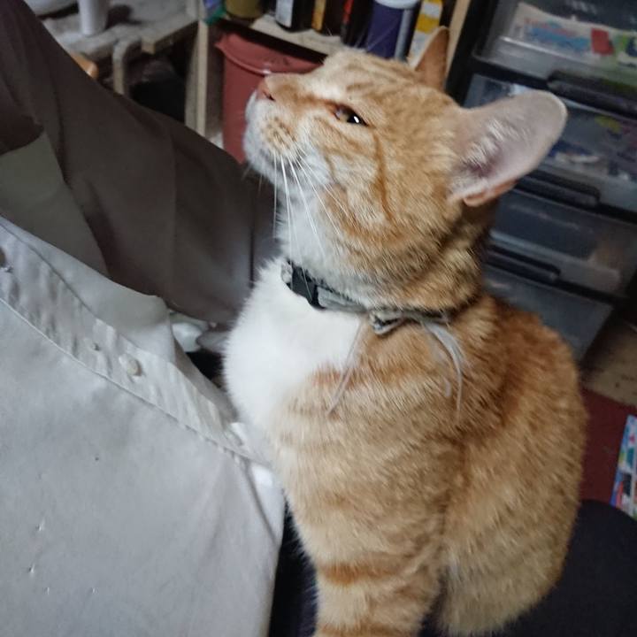 4c4b35ca 4b40 4ad6 a002 c9a1dd724b6a 1589538258922