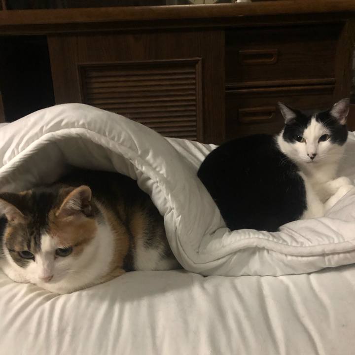 4c4b4877 e2a7 4766 8f5f d9bcf67ef80f 1588002425353