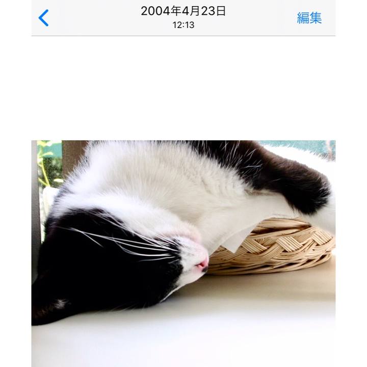 4c4b5d85 fa5c 4b93 8234 87b852e2fa67 1582599922351