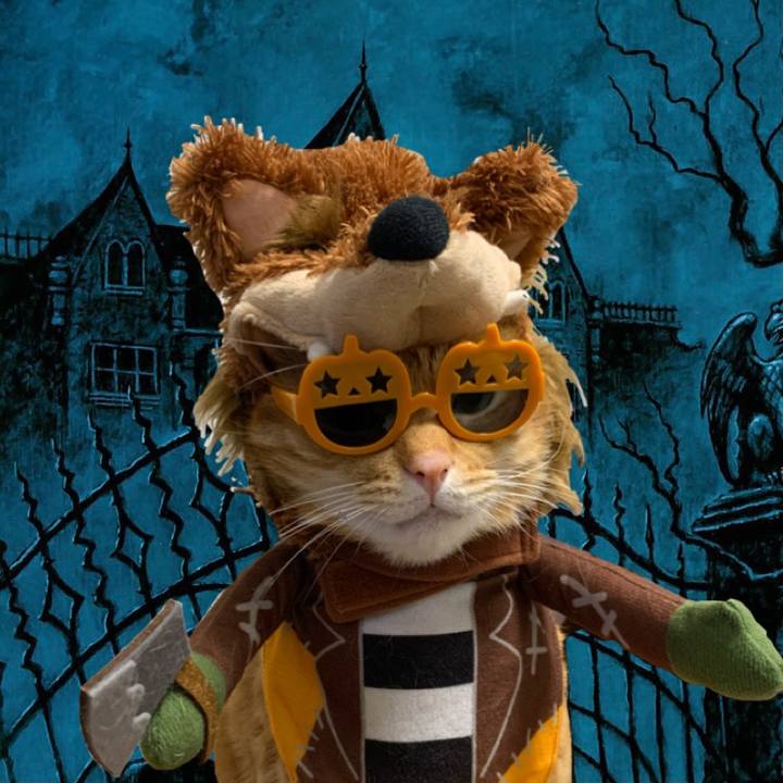 4c4b8f71 4a64 4ef4 96b0 ec4775d89cee 1635503535885