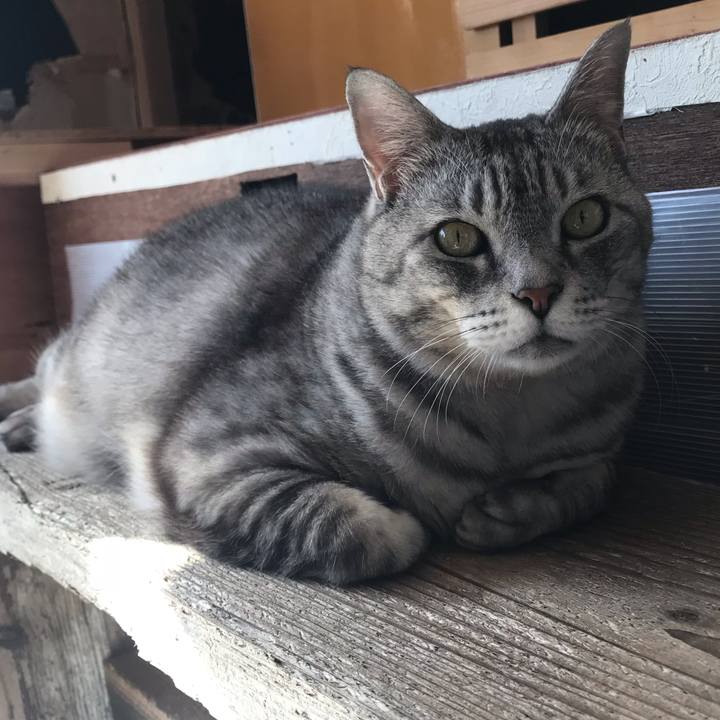 4c4c324a 6cb2 48cb 8fb8 2709cac568d5 1542193925470