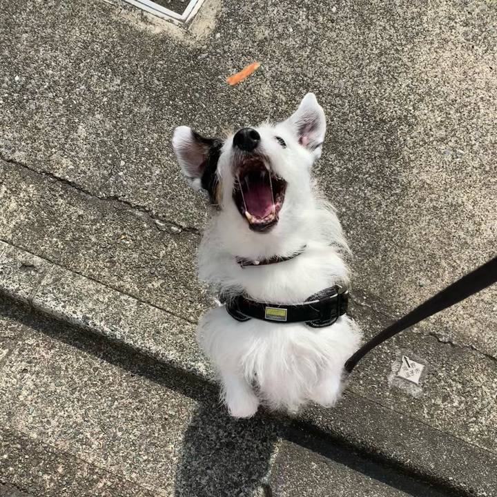 4c4c501d 2569 474c b81d cc11b1c7e668 1750375054785