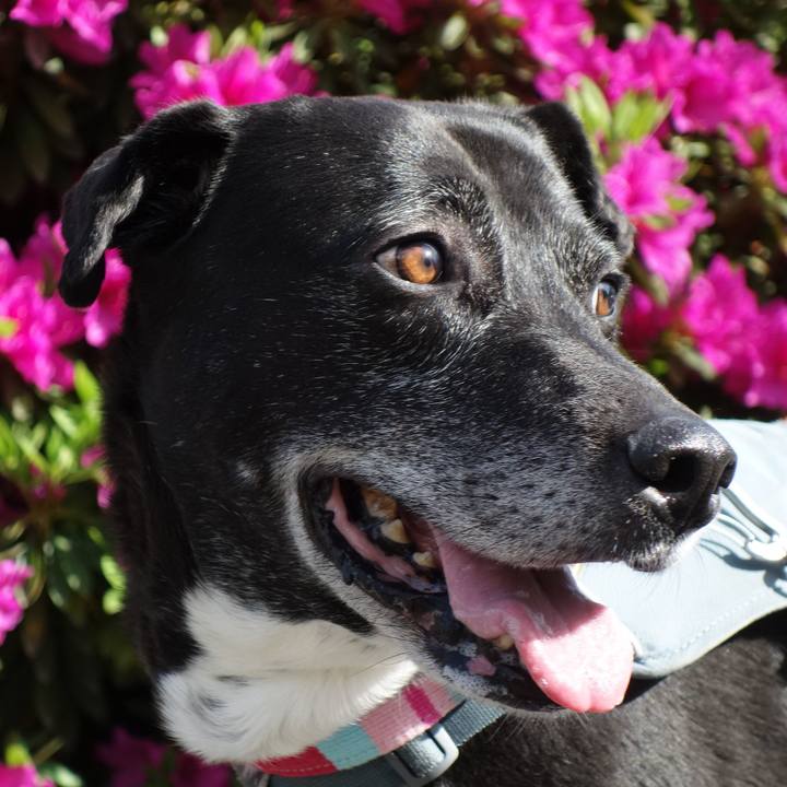 4c4cce44 88e0 4799 9ce9 5e9fa7d8b611 1745195356596