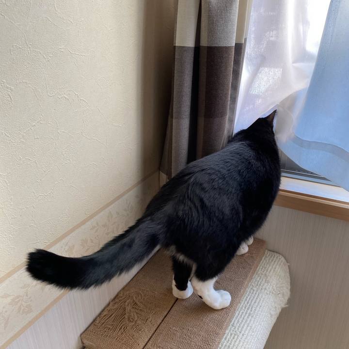 4c4d1d80 4963 4f54 adef fa1b90a8aa11 1672746843309