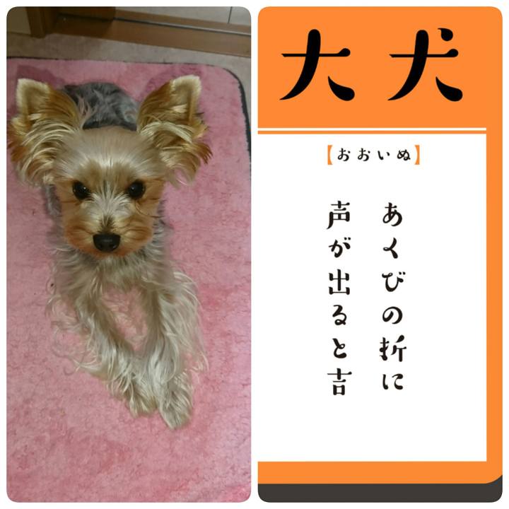 4c4d299b 7ce4 4f86 93af 6180e386eced 1509147915602