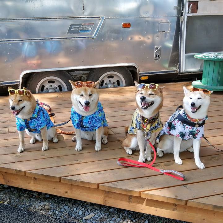 4c4d5924 393a 496b aec7 80a8c40e71a4 1627192839016